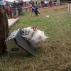foire-haricots 2011-09-17et18